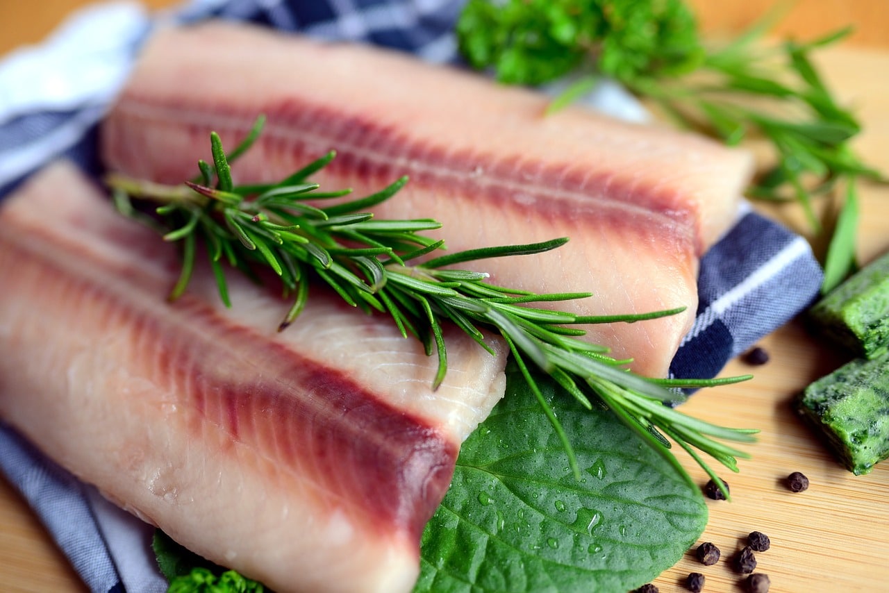 Azzurro come il pesce a Cesenatico