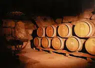 Botti in una cantina romagnola