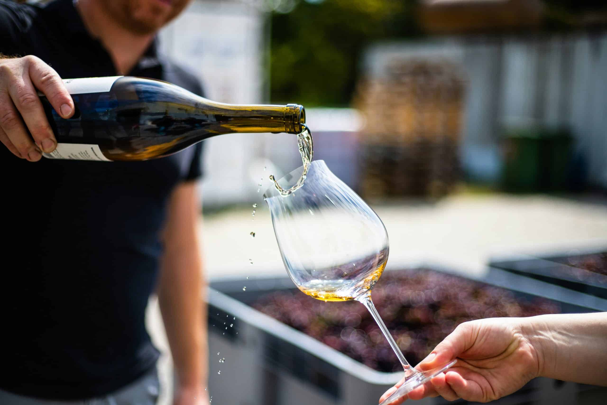 Wein Tour Cattolica